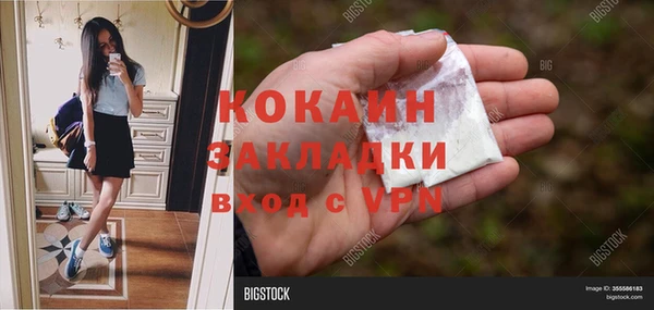 стаф Волосово