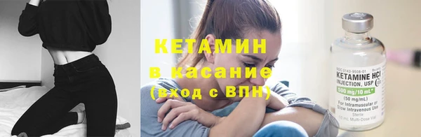стаф Волосово