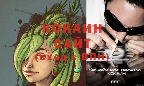 стаф Волосово