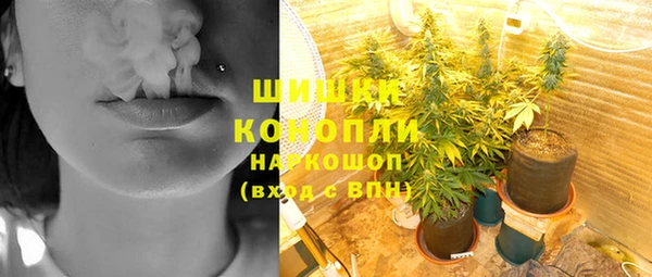 стаф Волосово