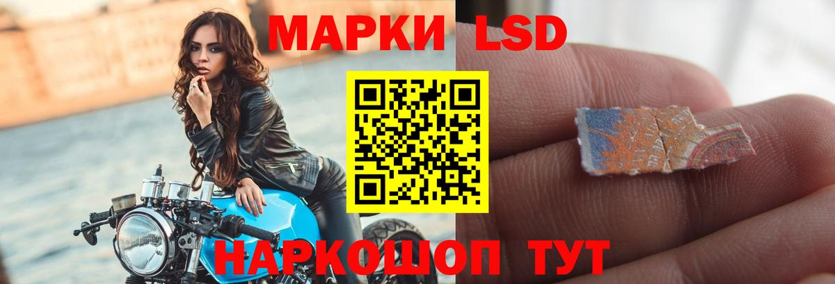 ГАШ Гуково