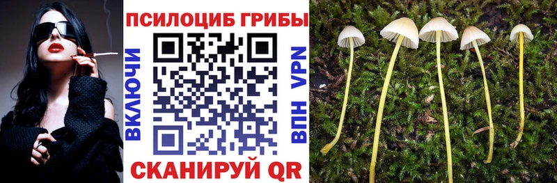 Псилоцибиновые грибы мухоморы  где продают наркотики  Гуково 