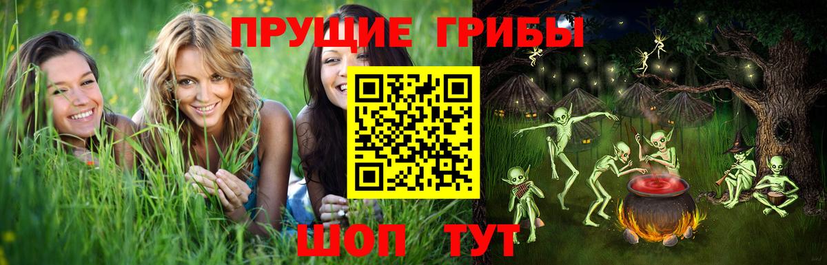 Псилоцибиновые грибы MAGIC MUSHROOMS  Вход с VPN  Гуково 